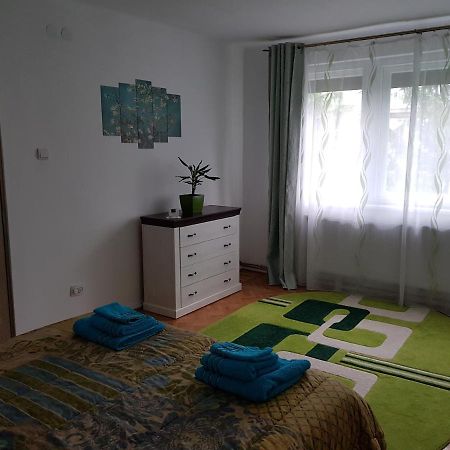 חונדוארה Aris Apartment מראה חיצוני תמונה